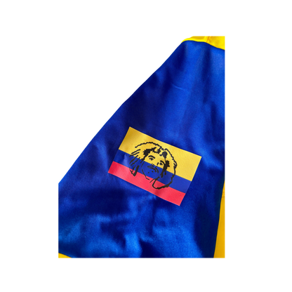 Jersey Colombia Despedida de Valderrama 2004 (XL)